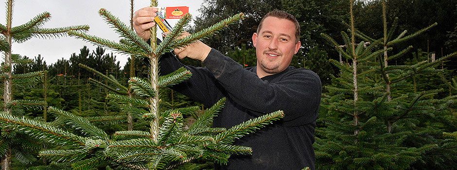 Tag hele familien med på tur og køb årets juletræ
